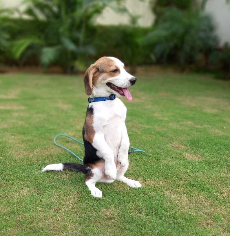 WhatsApp Image 2025-03-15 at 3.59.52 PM (1) (1)
