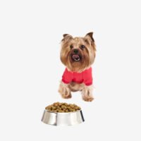 Dog Bowl Food - Image 2